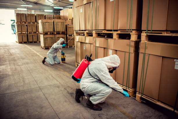 Best Wasp Removal Services  in Clyde, NY