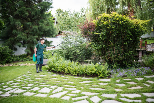 Best Pest Removal Services  in Clyde, NY
