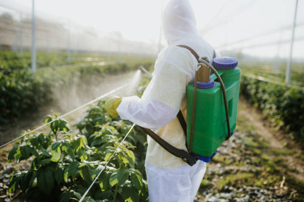Best Residential Pest Control  in Clyde, NY
